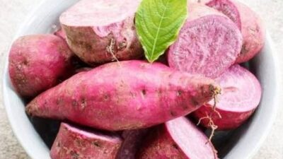 Mor tatlı patates zayıflatıyor