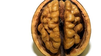 Mucize gıda: Ceviz