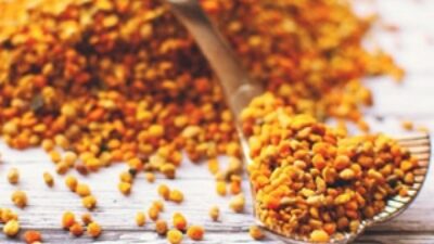 Propolis ve ölümsüz faydaları